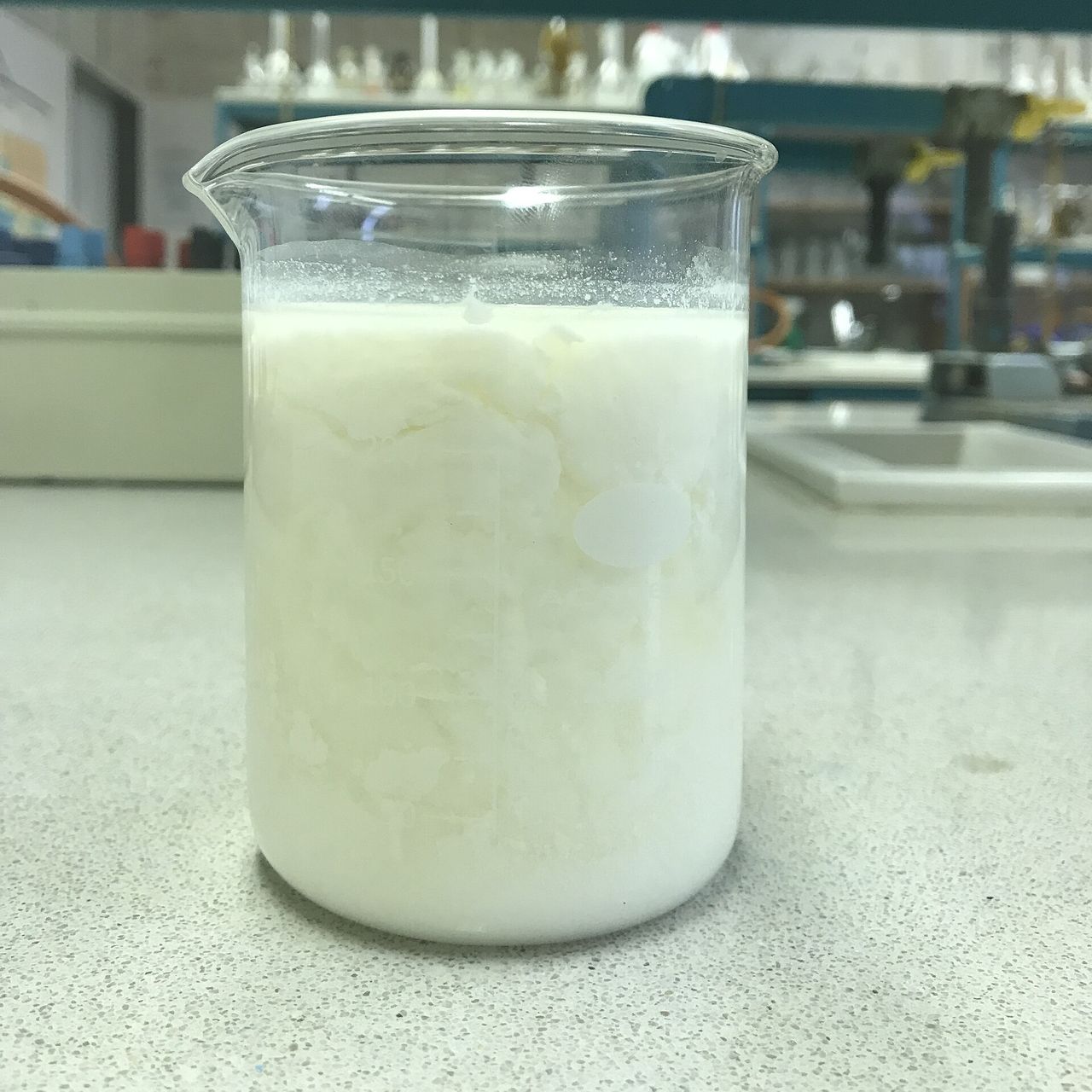 Leite num béquer de laboratório, com grumos brancos formados